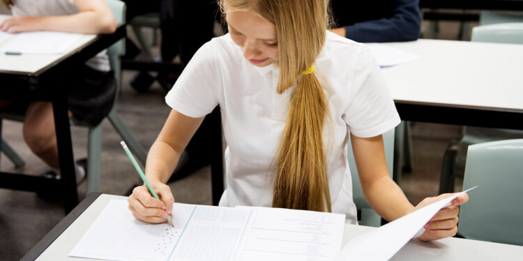 Weryfikacja praktykantów w Rejestrze Sprawców Przestępstw na Tle Seksualnym