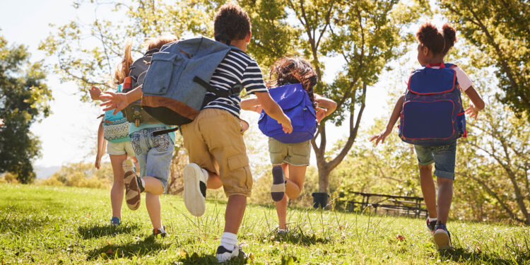 Wynagrodzenie za godziny ponadwymiarowe a wycieczka