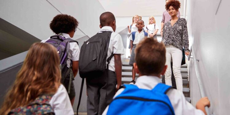 Godziny doraźnych zastępstw w arkuszu organizacji