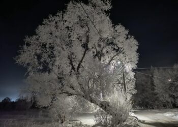 Mróz, awaria ogrzewania i śnieżyce – kiedy szkoła może czasowo wstrzymać zajęcia?