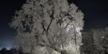 Mróz, awaria ogrzewania i śnieżyce – kiedy szkoła może czasowo wstrzymać zajęcia?