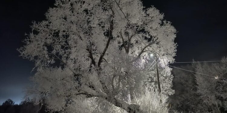 Mróz, awaria ogrzewania i śnieżyce – kiedy szkoła może czasowo wstrzymać zajęcia?